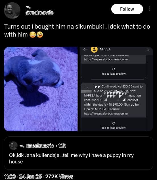 Follow ealmavfc turns out bought him na sikumbuki . idek what to do with him mpe