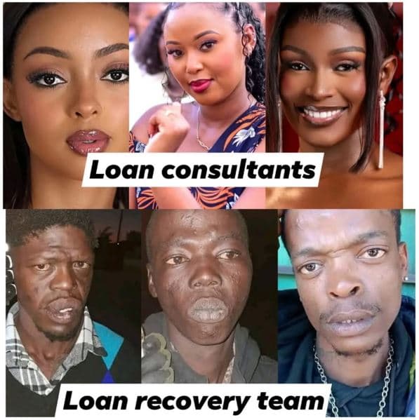 Loan consultants loan recovery team