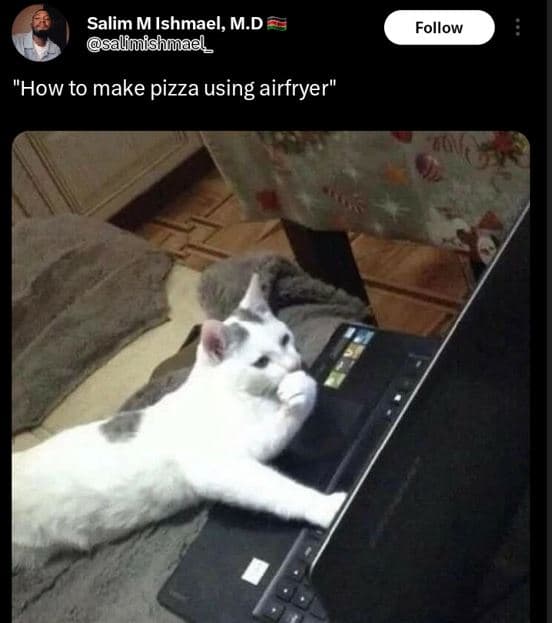 Salim m ishmael, m.d psalfmishmael _ follow how to make pizza using airfryer 66