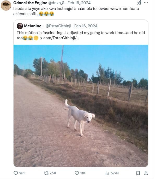 Odansi the engine dnxn_0 feb 16, x labda ata yeye ako kwa instangui anaambia fol