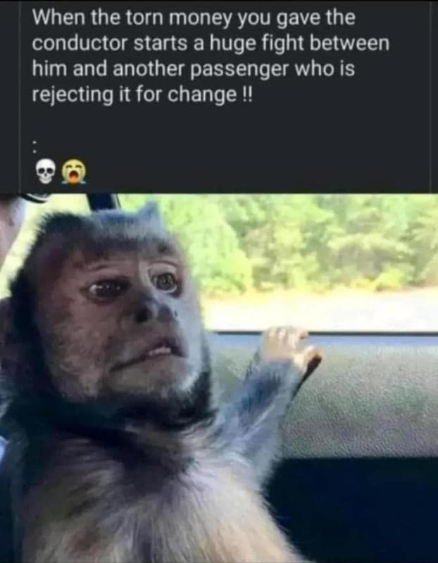 When the torn money you gave the conductor starts a huge fight between him and a