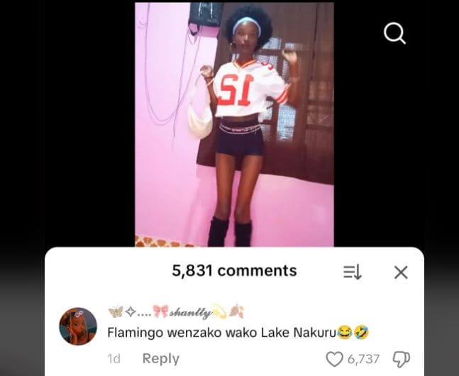 Si 5,831 comments l x flamingo wenzako wako lake nakuru id reply 6,737
