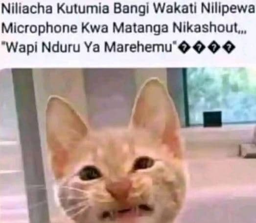 Niliacha kutumia bangi wakati nllipewa microphone kwa matanga nikashout wapi ndu