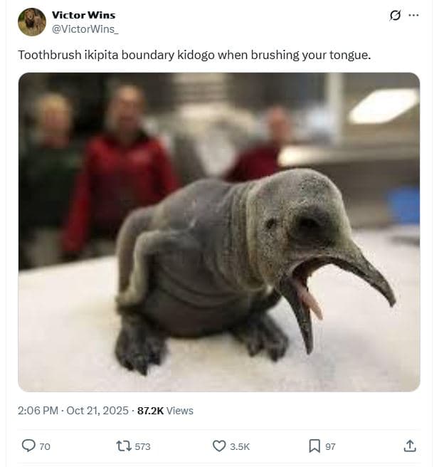 Victor wins victorwins_ toothbrush ikipita boundary kidogo when brushing your to