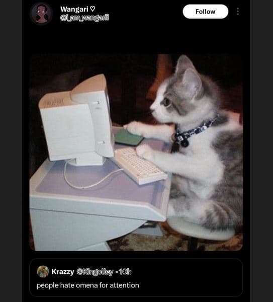 Wangari lanwangami follow krazzy kngolley joh people hate omena for attention