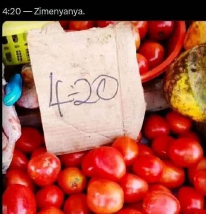 4.20 zimenyanya. 120