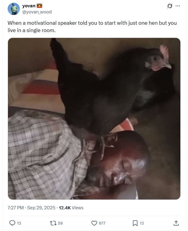 Yovan yovan_wood when a motivational speaker told you to start with just one hen