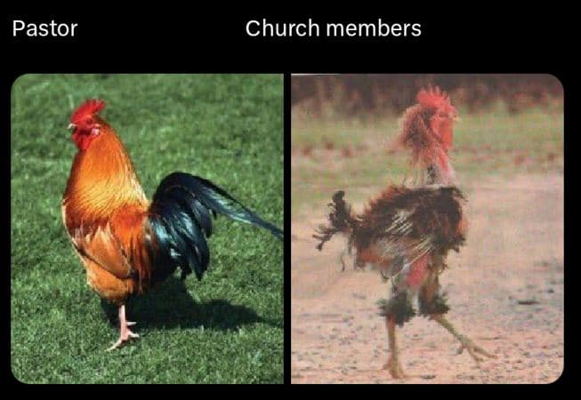 Pastor church members