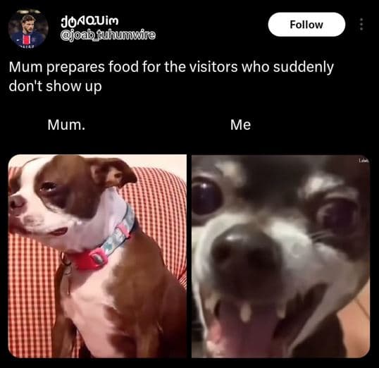 Joaquim oabuhumuite follow mum prepares food for the visitors who suddenly don't