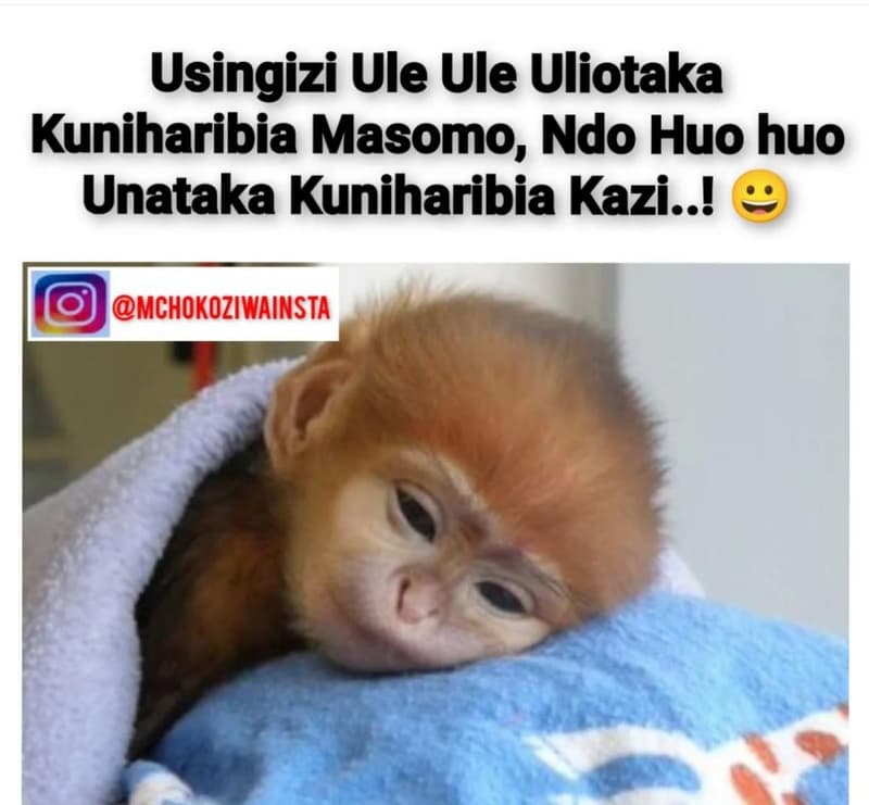 Usingizi ule ule uliotaka kuniharibia masomo, ndo huo huo unataka kuniharibia ka