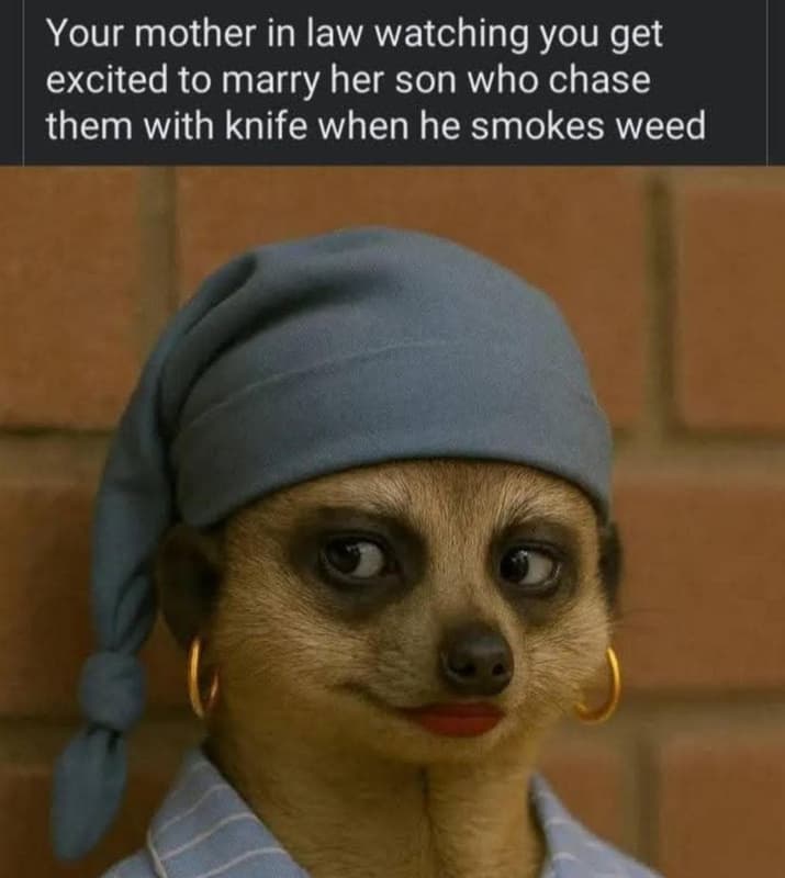 Your mother in law watching you get excited to marry her son who chase them with