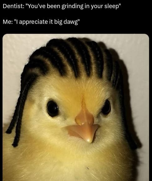 Dentist you've been grinding in your sleep me appreciate it big dawg