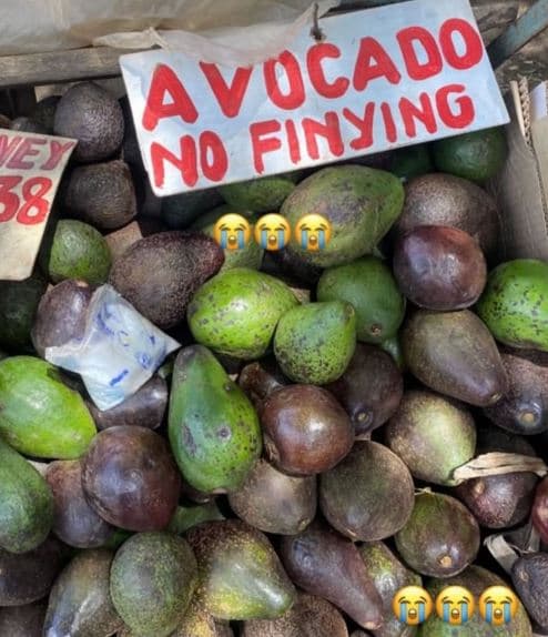 Zy 38 avocado no finying 66k aar