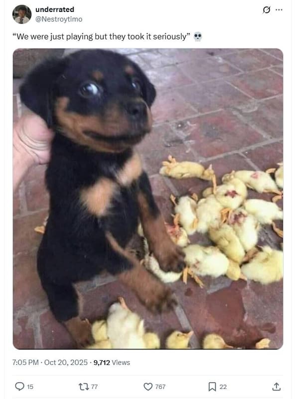 Underrated nestroytimo we were just playing but they took it seriously' 7.05 pm