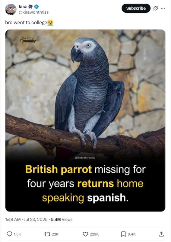 Kira '' kirawontmiss subscribe bro went to college smreiney tnebainypeda british