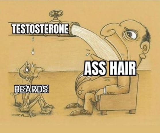 Testosterore asshr beards