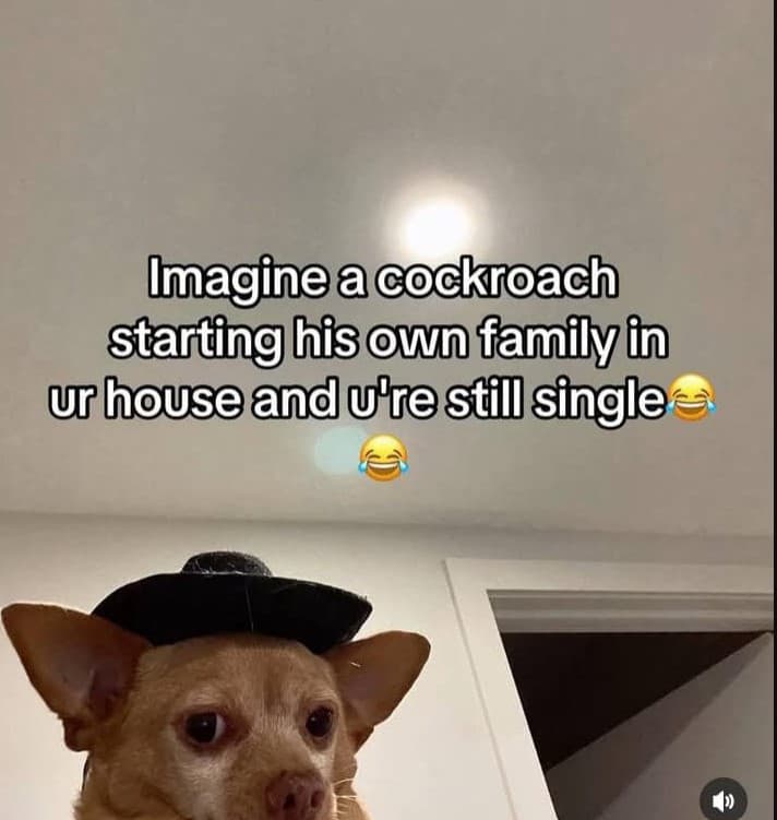 Imagineacockroach starting his wn family in urhouseandufrestill single