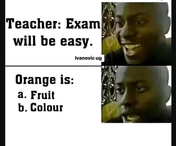 Teacher exam will be easy. ivanovic ug orange is a. fruit b. colour
