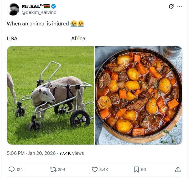 Mr. kaltn dekim_kalvino when an animal is injured usa africa 5.06 pm jan 20, 77.