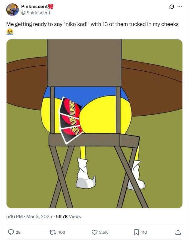 Pinkiescent pinkiescent _ me getting ready to say niko kadi with 13 of them tuck