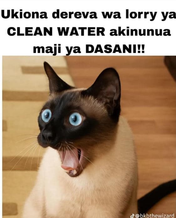 Ukiona dereva wa lorry ya clean water akinunua maji ya dasanil! dbkbthewizard