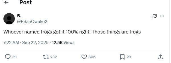 Post brianowako2 whoever named frogs got it 100 right. those things are frogs 7.