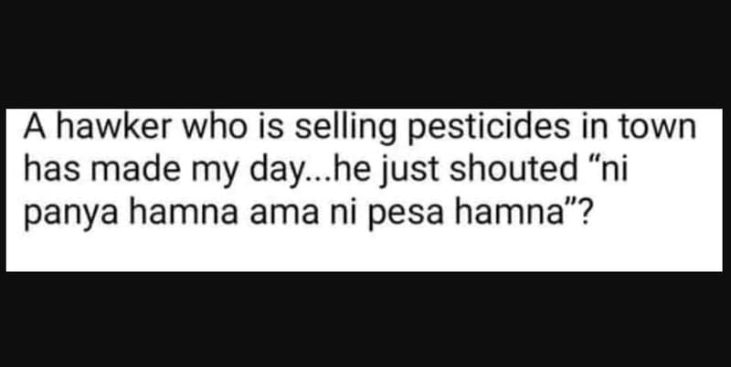 Ahawker who is selling pesticides in town has made my dayhe just shouted ni pany