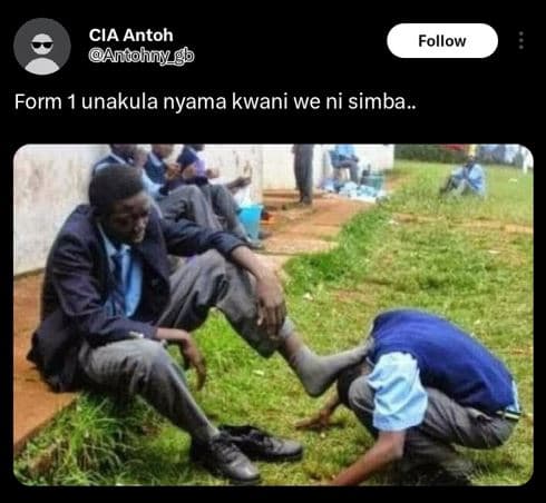 Cia antoh antohny g follow form unakula nyama kwani we ni simba .