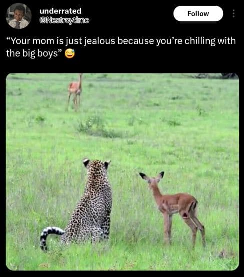 Underrated nesuroydm follow your mom is just jealous because 'you're chilling wi