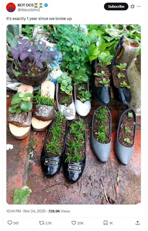 Kot ocs waruijohnz subscribe it's exactly 1 year since we broke up 10.14 pm . no