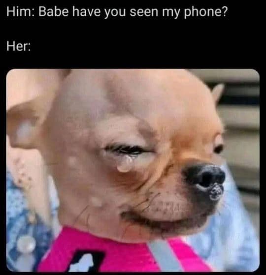Him babe have you seen my phone? her