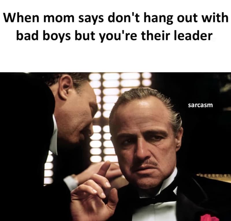 When mom says don't hang out with bad boys but you're their leader sarcasm
