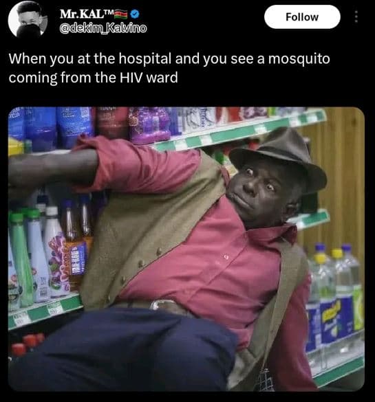 Mr kalm dekim kalvino follow when you at the hospital and you see a mosquito com