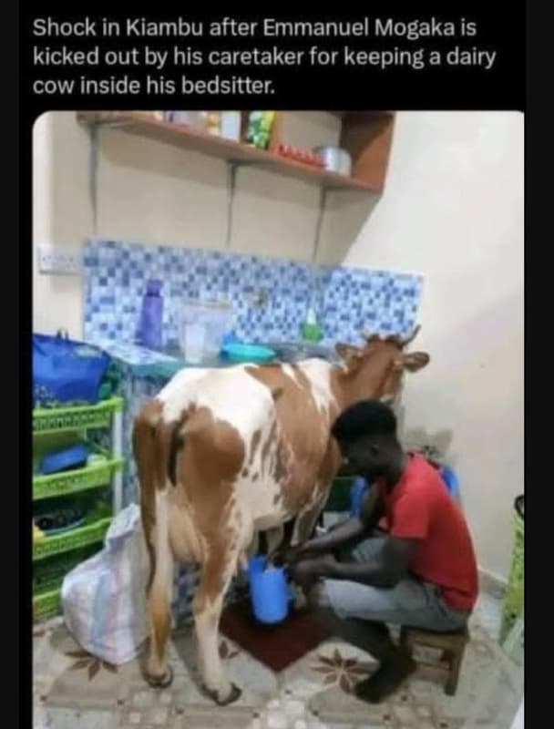 Shock in kiambu after emmanuel mogaka is kicked out by his caretaker for keeping