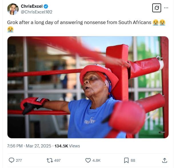 Chrisexcel chrisexcel102 grok after a long day of answering nonsense from south