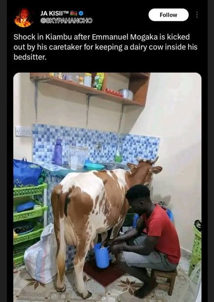 Ja kisiit skpahancho follow shock in kiambu after emmanuel mogaka is kicked out