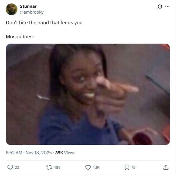 Stunnar ambrooky don't bite the hand that feeds you mosquitoes 8.52 am nov 18, 3