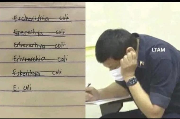 Echeeifhio cel enrethst cli ehezzhsu cor ltam ghulfeschia 44' etzritya cch e li