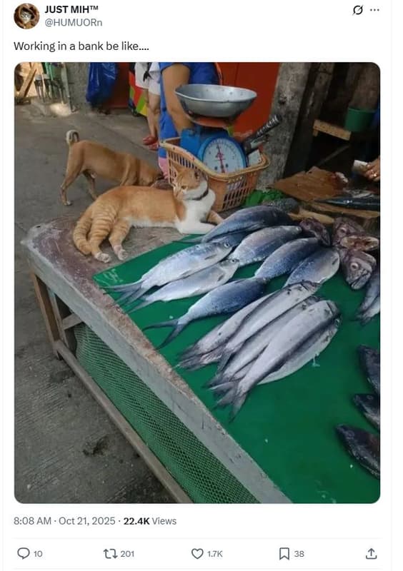 Just mihtm humuorn working in a bank be like. 8.08 am oct 21, 22.4k views t2 201