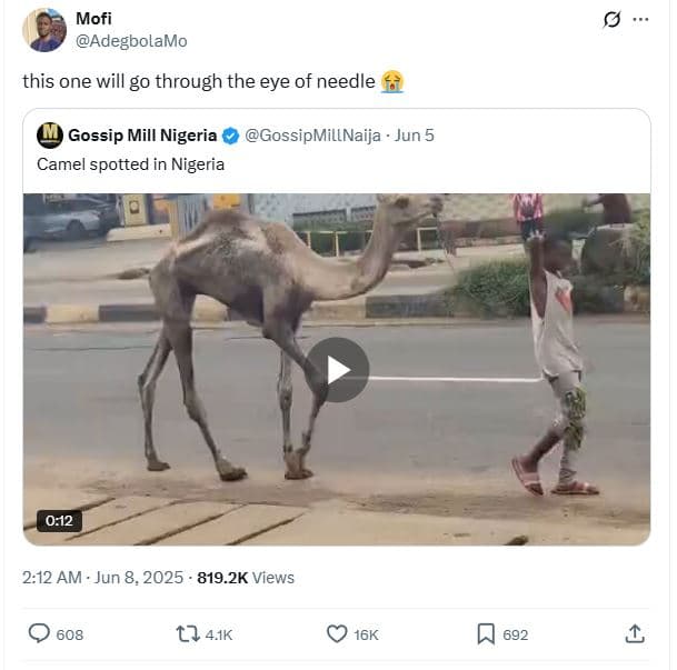 Mofi adegbolamo this one will g0 through the eye of needle gossip mill nigeria g