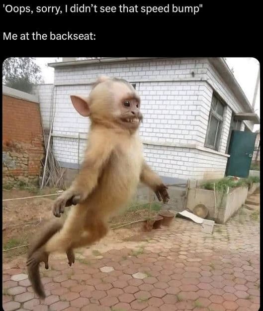 'oops, sorry didn't see that speed bump me at the backseat