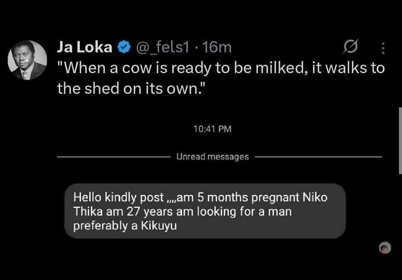 Ja loka felsı 16m when acow is ready to be milked, it walks to the shed on its o