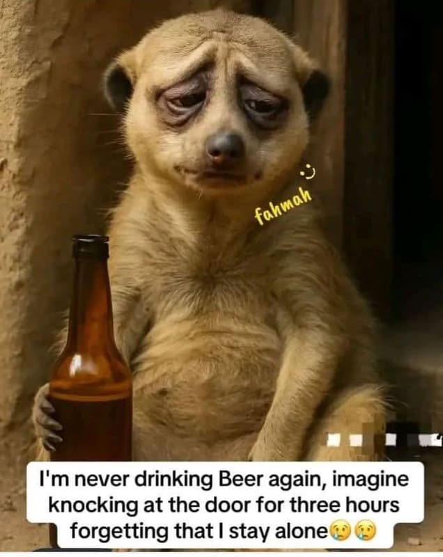 I'mnever drinking beer again imagine knocking at the door for three hours forget