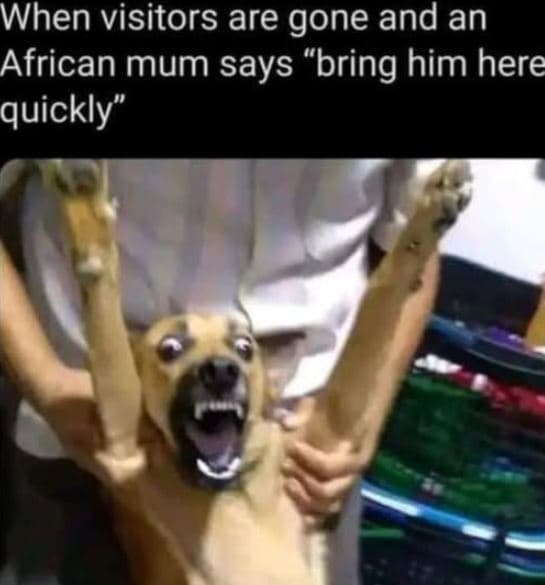 When visitors are gone and an african mum says bring him here quickly'