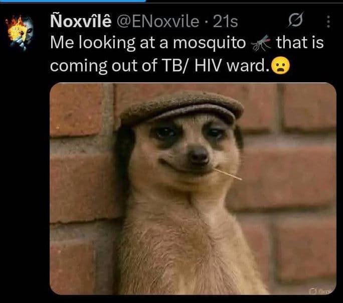 Qoxvflô enoxvile 21s me looking at a mosquito that is coming out of tbi hiv ward