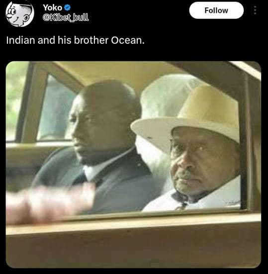 Yoko kbet_bull follow indian and his brother ocean