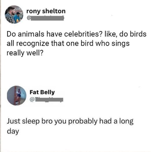 Rony shelton do animals have celebrities? like do birds all recognize that one b