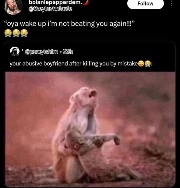 Bolanlepepperdem theyluvbolanle follow oya wake up im not beating you againll q6