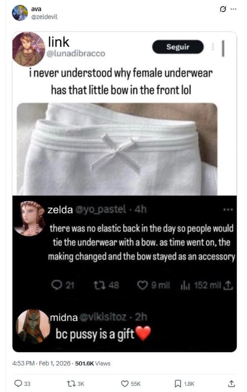 Ava zeldevil link lunadibracco seguir inever understood why female underwear has