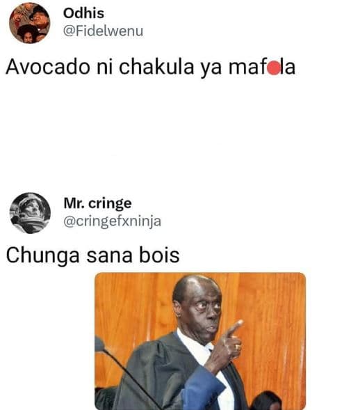 Odhis fidelwenu avocado ni chakula ya maf la mr. cringe cringefxninja chunga san